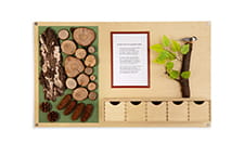 Memoriana adventure panel